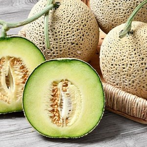 머스크메론 4kg 2수 (17,600원/무료)