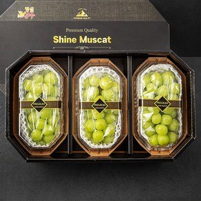 명실상주 중화농협 샤인머스캣 선물세트 3수, 2kg, 1박스 (39,900원)