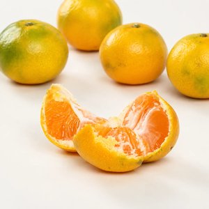 제주 하우스 감귤 1kg + 1kg (8,900원) (무배)