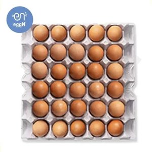 맥반석 구운란 중란 30+30구 (12,974원) (무료)