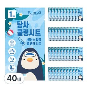 탐사 붙이는 열 냉각 해열시트 40매 어린이 성인 겸용, 1개 (9,790원)