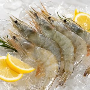 국내산 신안 횟감용 활새우 1kg 28미내외 (19,940원) (무료)