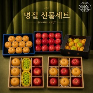 나주배 선물세트 고급 5kg (9-10과) (23,920원/무료)