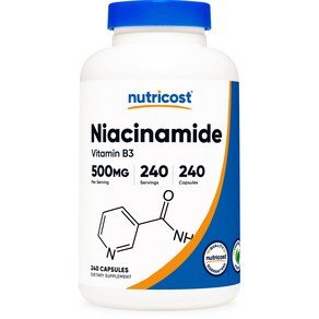 뉴트리코스트 나이아신아마이드 비타민 B3 500mg 캡슐, 240정, 1개 (15,460원)