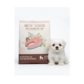 디어랩스 전연령 강아지 울애기쌩쌩 스팀베이크드 사료, 연어, 1kg, 1개 (30,420원)
