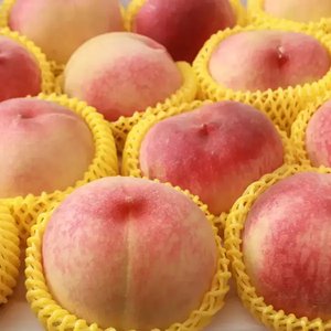 딱딱이 복숭아 4kg (14,980원/무배)