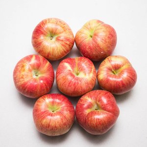홍로 햇사과 4kg (12,960원/무료)