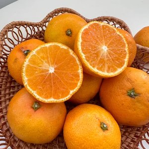 노지감귤 로얄과 5kg (8,780원/무료)