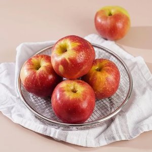 경북 햇 홍로 가정용 빨간사과 소과 2kg (9,470원/무료)