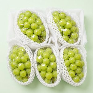 국내산 샤인머스켓 2kg (9,900원/무료)