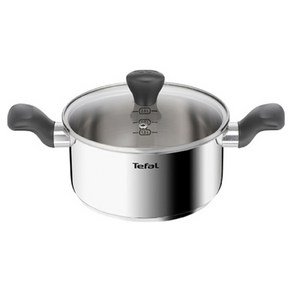 테팔 인덕션 스테인리스 스틸 이지쿡 양수냄비, 20cm, 실버, 1개 (37,900원)