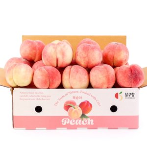 아삭단단 딱딱이 고당도 백도 복숭아 2kg (12,777원/무료)
