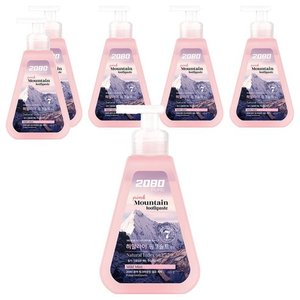 2080 퓨어 핑크마운틴 펌프 치약, 325g, 2개 (7,180원)
