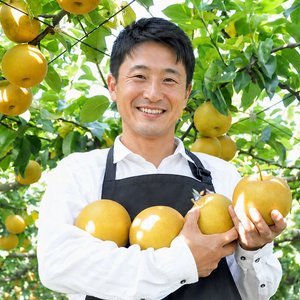 26년 가정용 나주배 5kg (11,900원 / 무료)